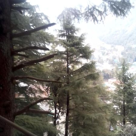 Himalayan Triund Trekking And Mountain View Dharamshala Exterior foto