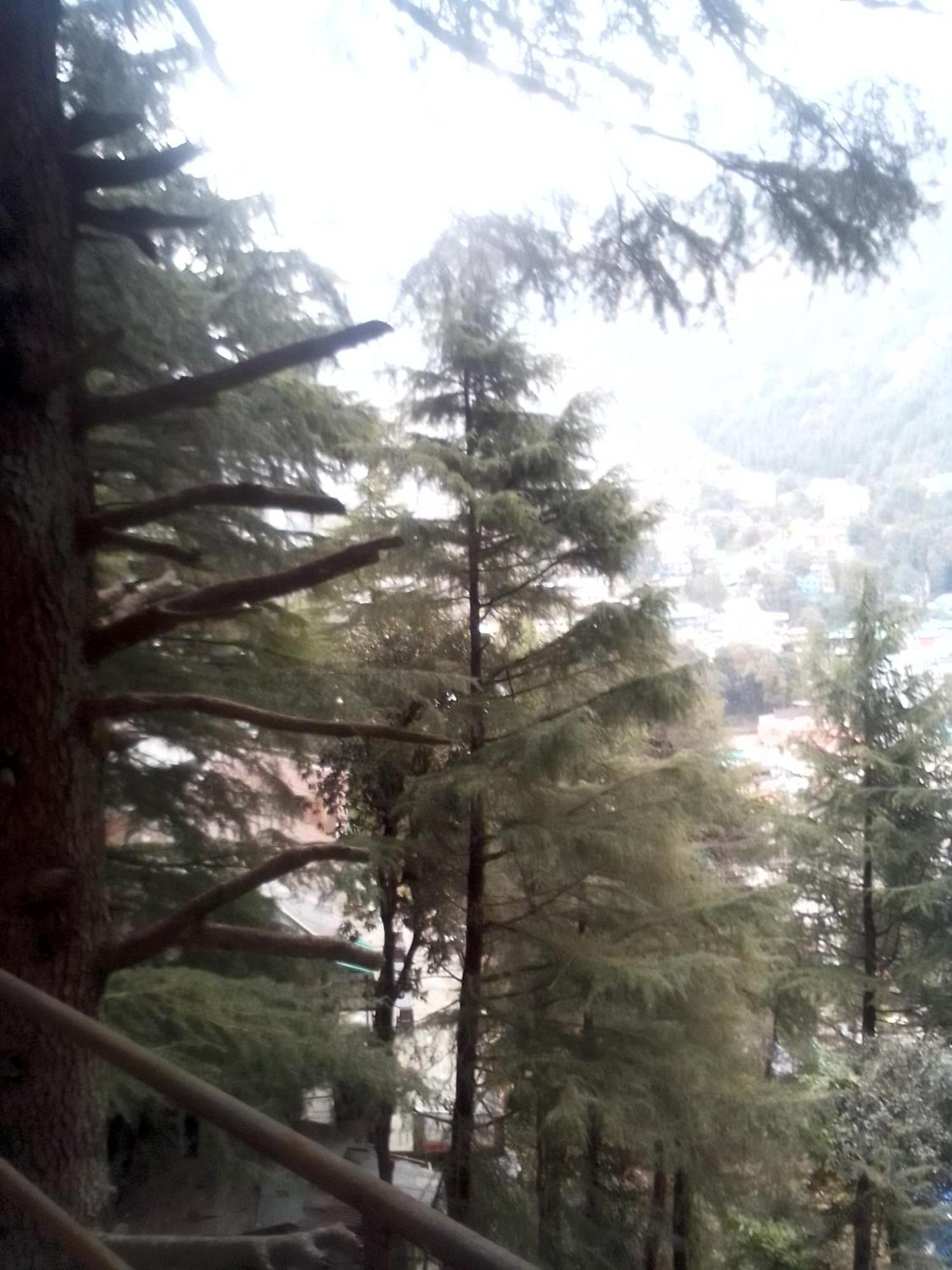 Himalayan Triund Trekking And Mountain View Dharamshala Exterior foto